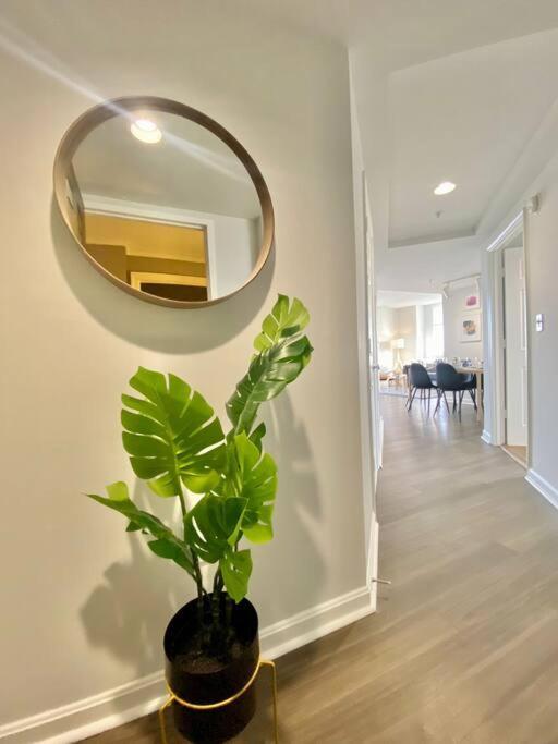 Gorgeous 2 Bedroom Bedroom Condo At Ballston Place With Gym 2011 Arlington Bagian luar foto